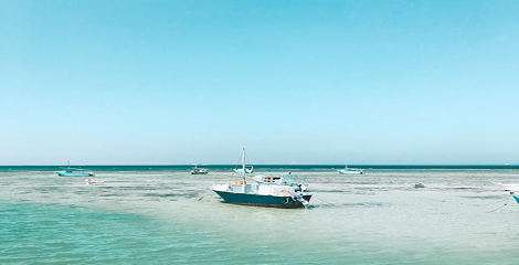 Sea